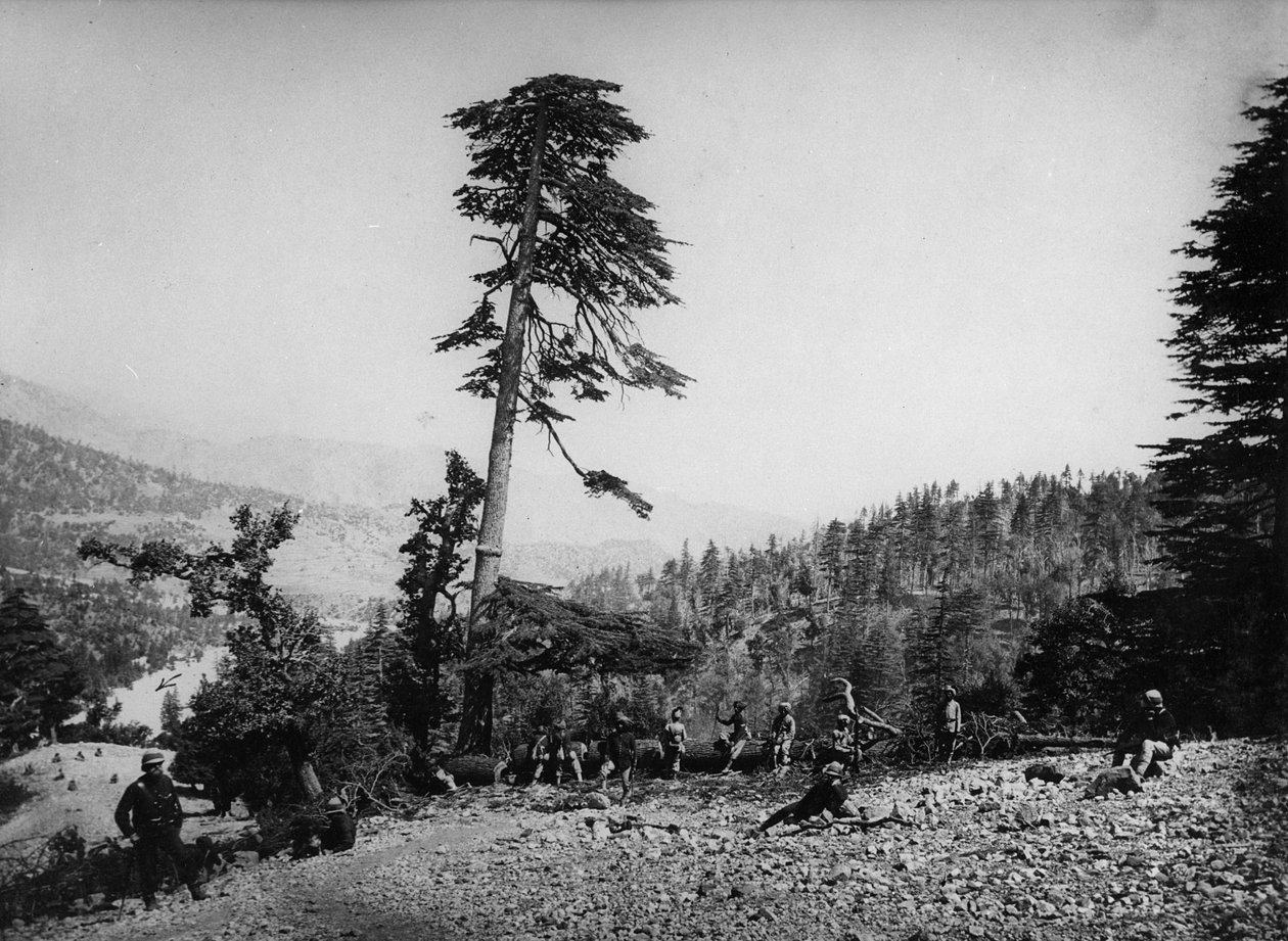 Innfødte og britiske soldater hviler under den andre anglo-afghanske krigen, 1878-80 av English Photographer