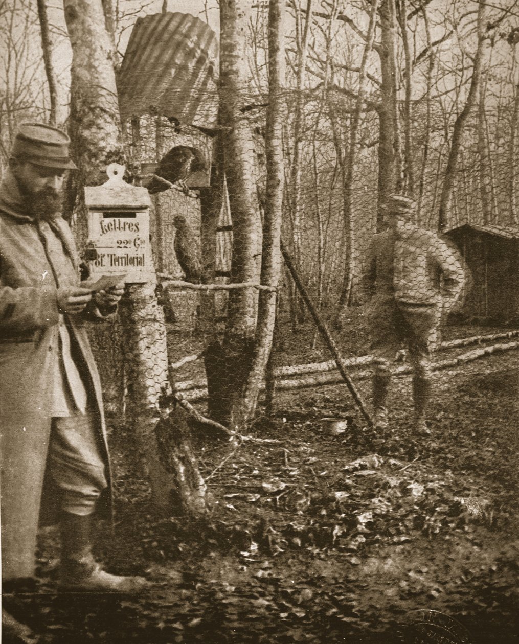 På den franske Lorraine-fronten: A Poilus Camp Letter-box og buzzard-maskoter, illustrasjon fra The Illustrated War News (seppia-bilde) av English Photographer