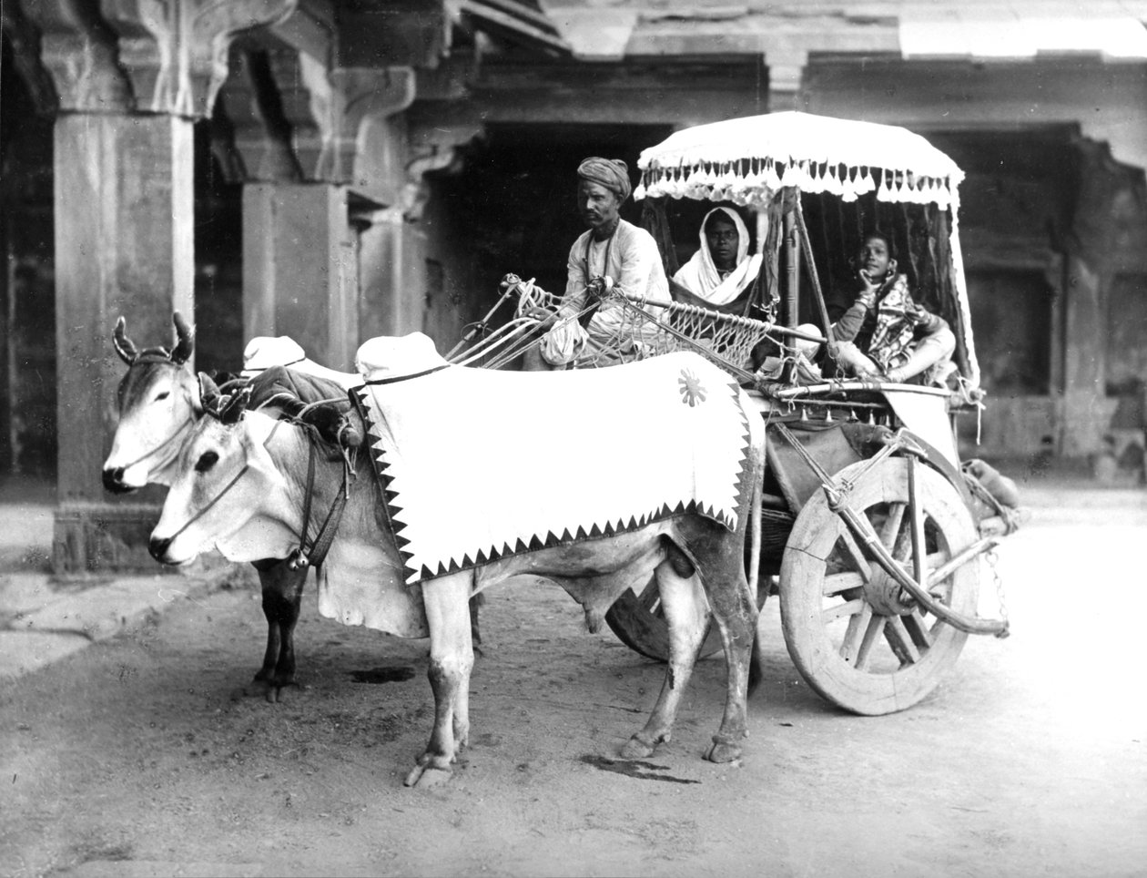 Ox-Drawn Cart, India, ca. 1907 av English Photographer
