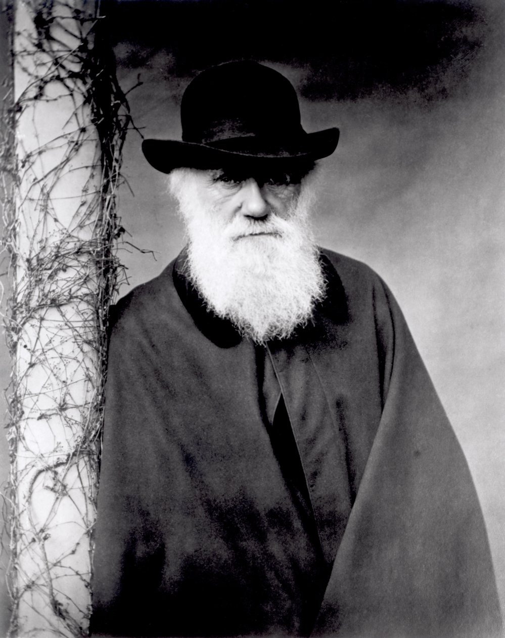 Portrett av Charles Darwin, 1881 av English Photographer
