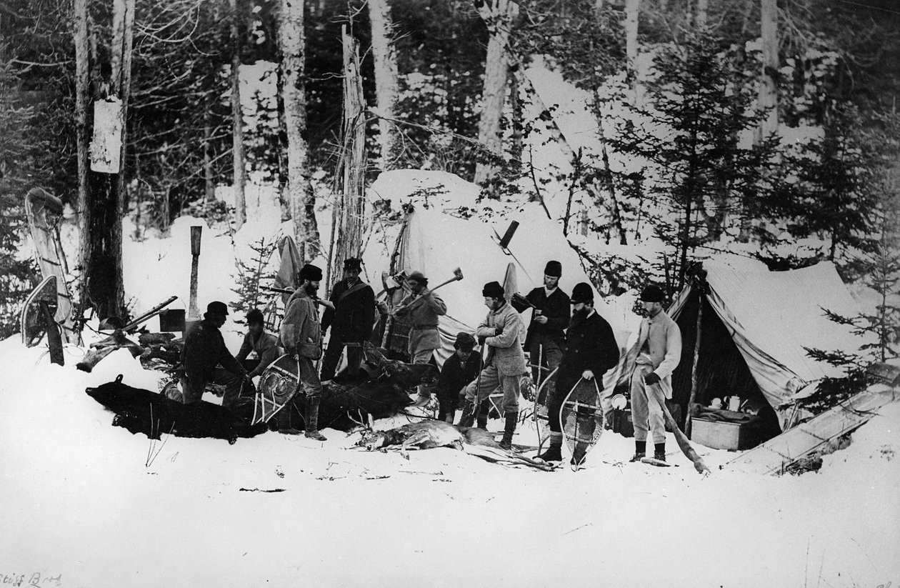 Prins Arthurs elgjaktekspedisjon i Canada, ca. 1870 av English Photographer