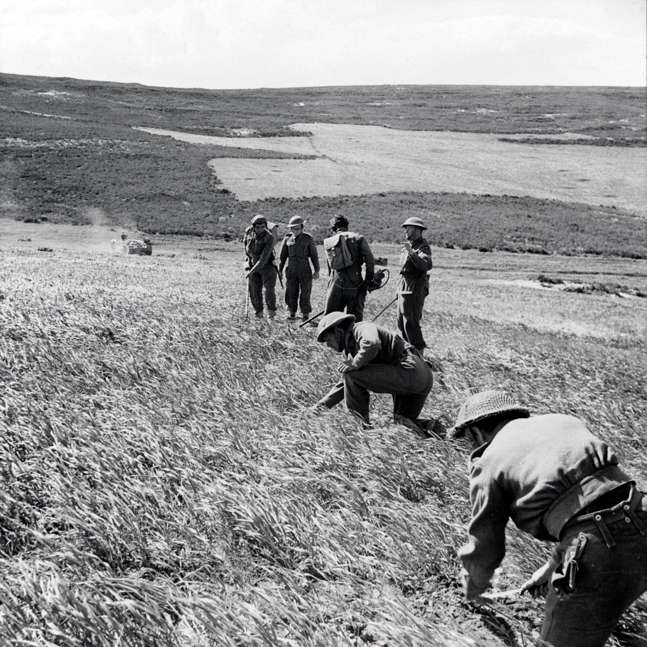 Sappers fra 237 Field Company, Royal Engineers, rydder et minefelt i kjølvannet av First Armys angrep på Toukabeur og Chaouach, april 1943 av English Photographer