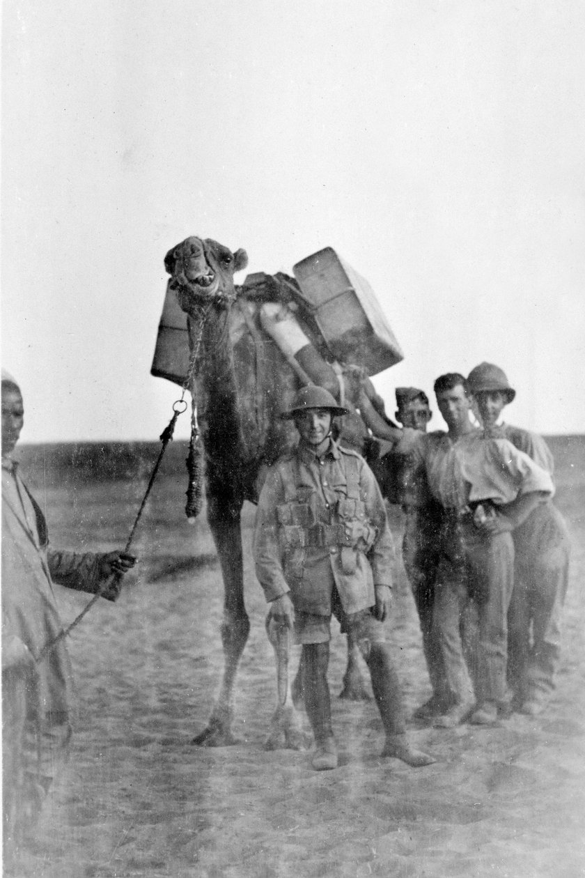 Soldater i Mesopotamia under første verdenskrig av English Photographer