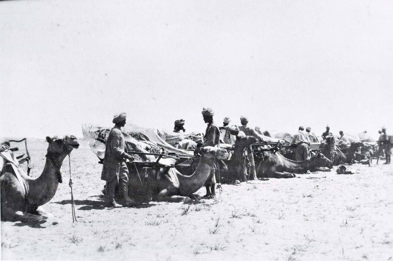 Soldater med kameler i Mesopotamia under første verdenskrig, fra et album satt sammen av Lt. Kindom av English Photographer