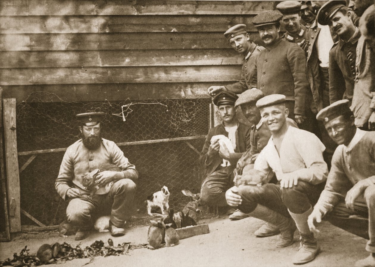 Noen av Prisoners Pets, Dorchester, illustrasjon fra German Prisoners in Great Britain (fotogravyr) av English Photographer