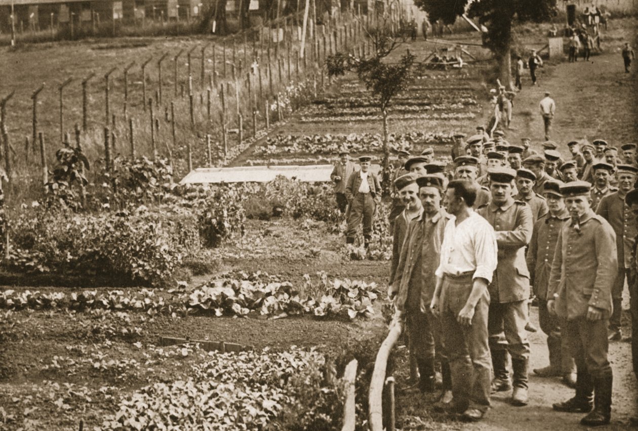The Vegetable Garden, Eastcote, illustrasjon fra tyske fanger i Storbritannia (fotogravure) av English Photographer