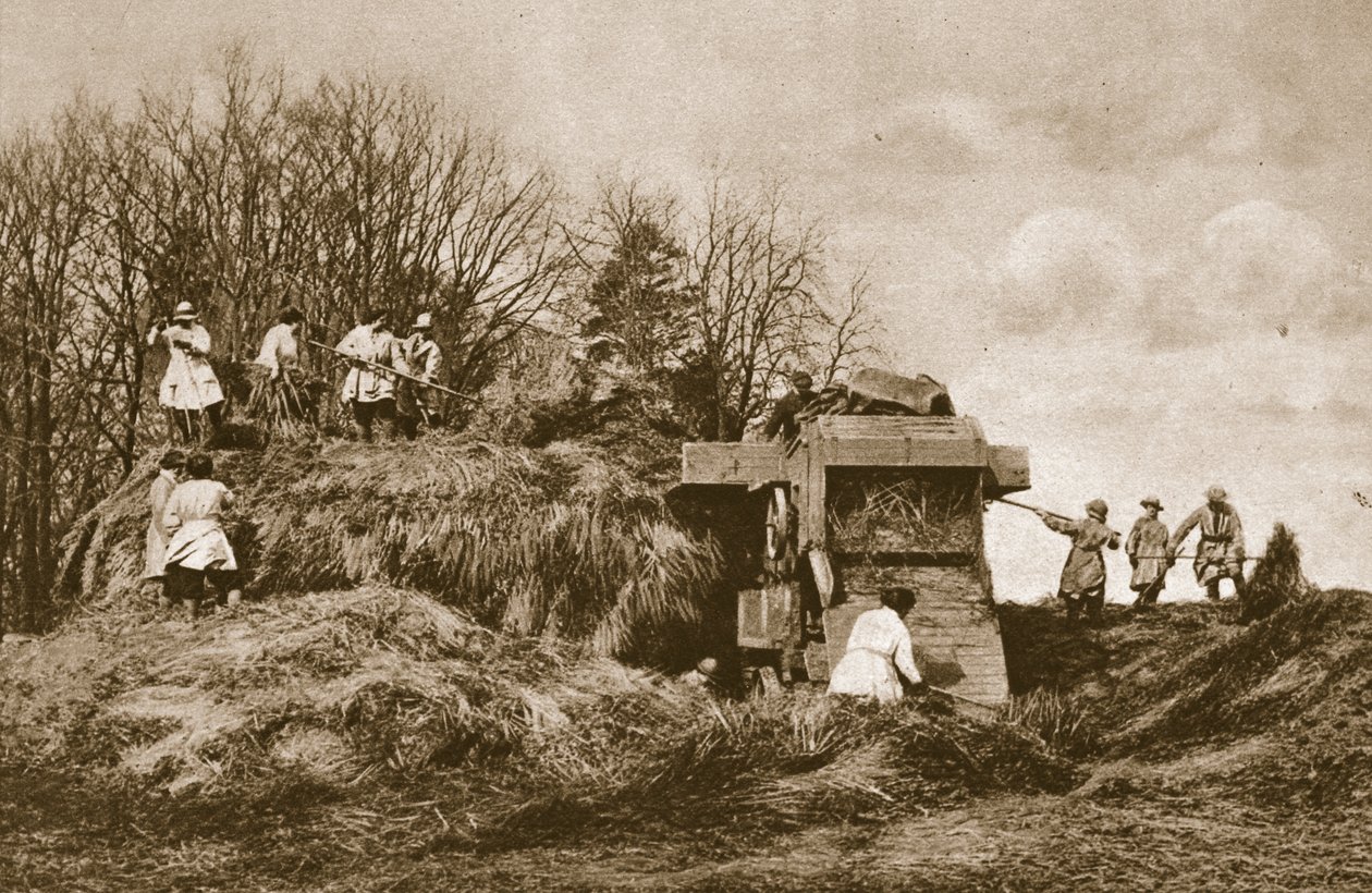 Trening av Womens Land Army i teori og praksis for alle grener av landbruket, 1914-19 av English Photographer