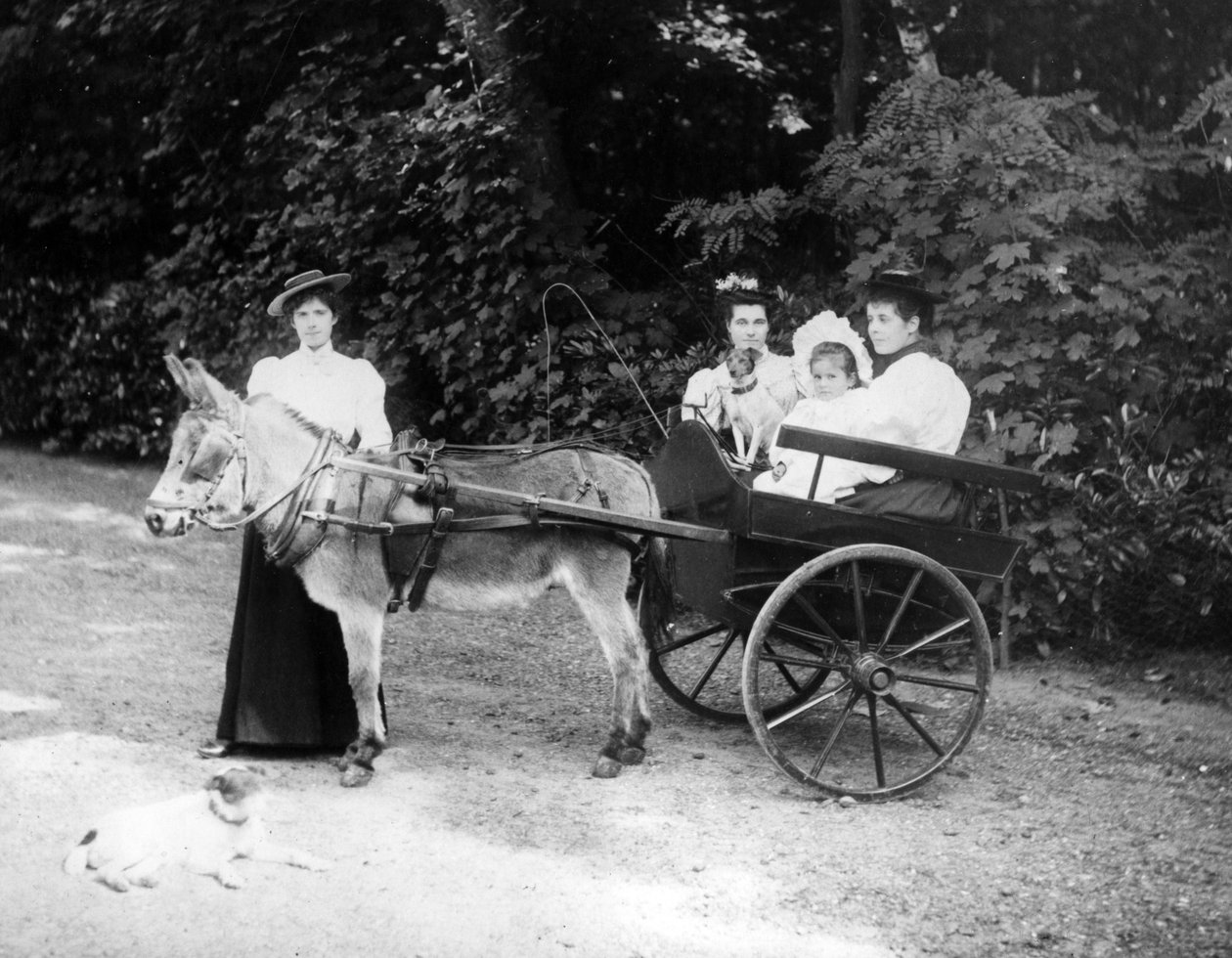 Viktoriansk eselvogn, ca. 1890 av English Photographer