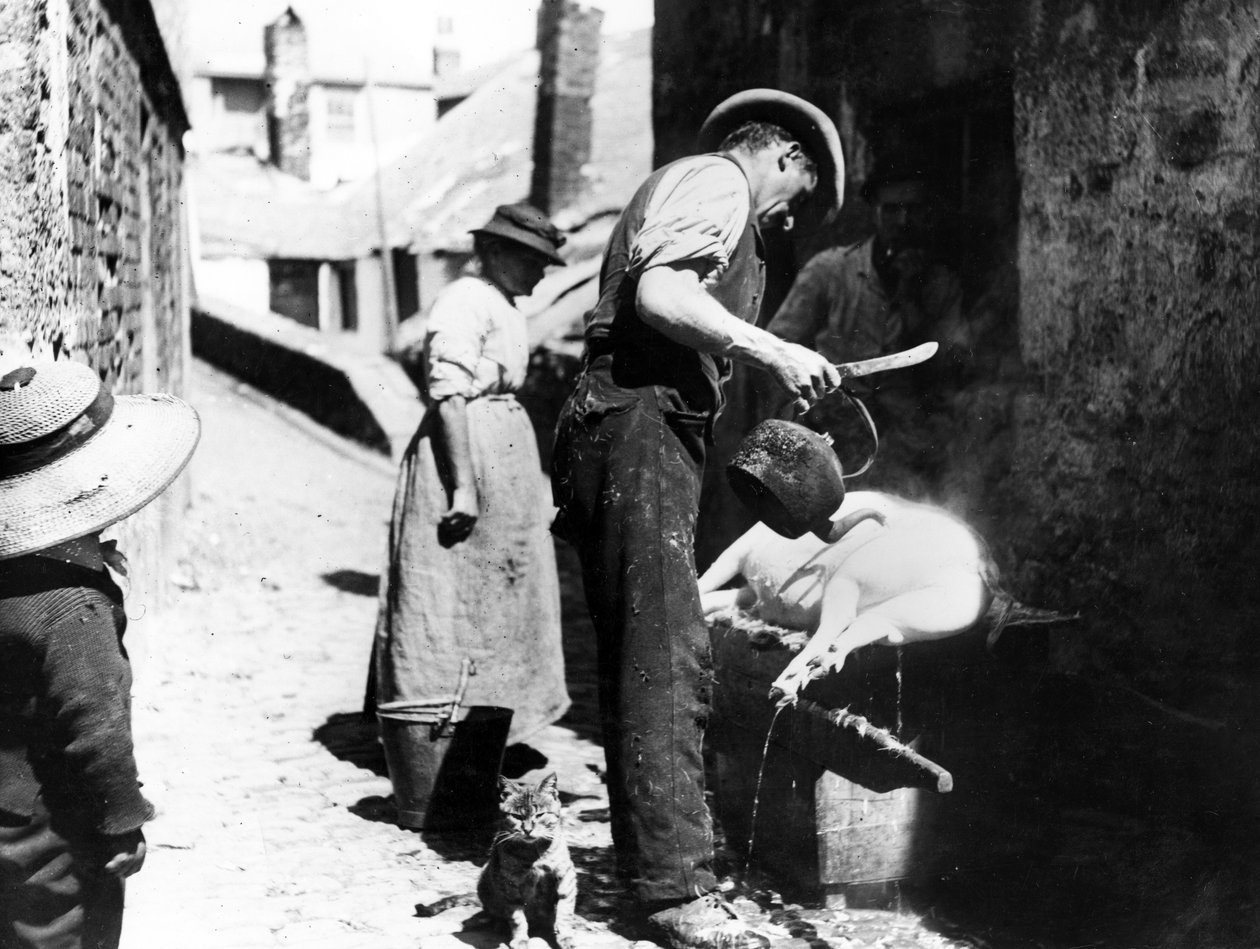 William Stevens Scalding the Pig nær Norway Lane, St Ives, ca. 1880-99 av English Photographer