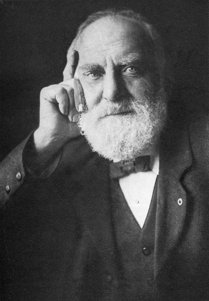 William Thomas Stead (1849-1912) av English Photographer