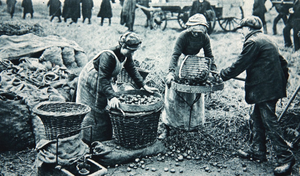 Kvinnelige krigsarbeidere på landet, illustrasjon fra The Illustrated War News, 7. mars 1917 (sepiafoto) av English Photographer