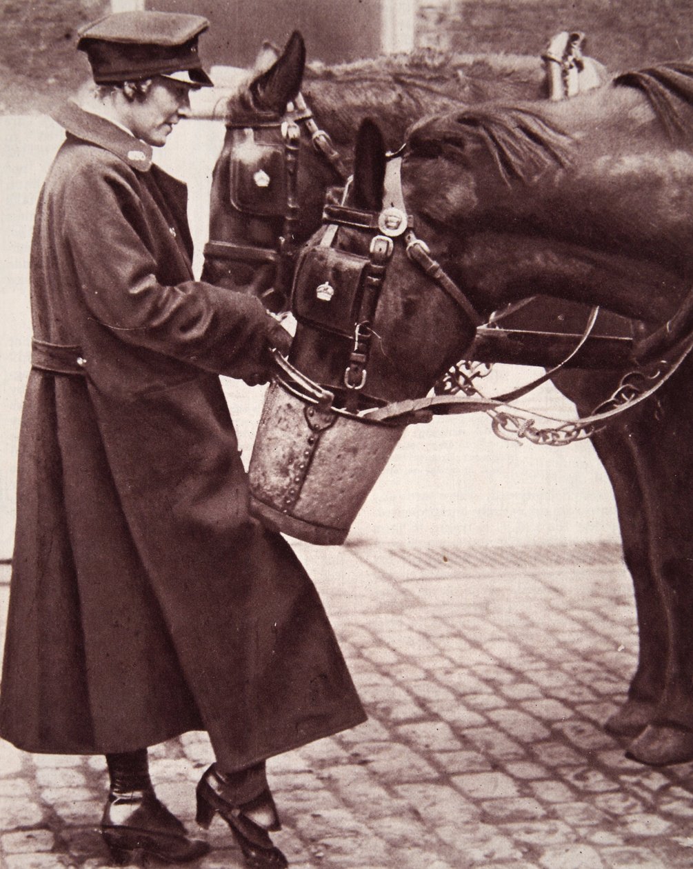 Arbeid for kvinner med kunnskap om hester, illustrasjon fra The Illustrated War News, 7. mars 1917 (sepia-bilde) av English Photographer