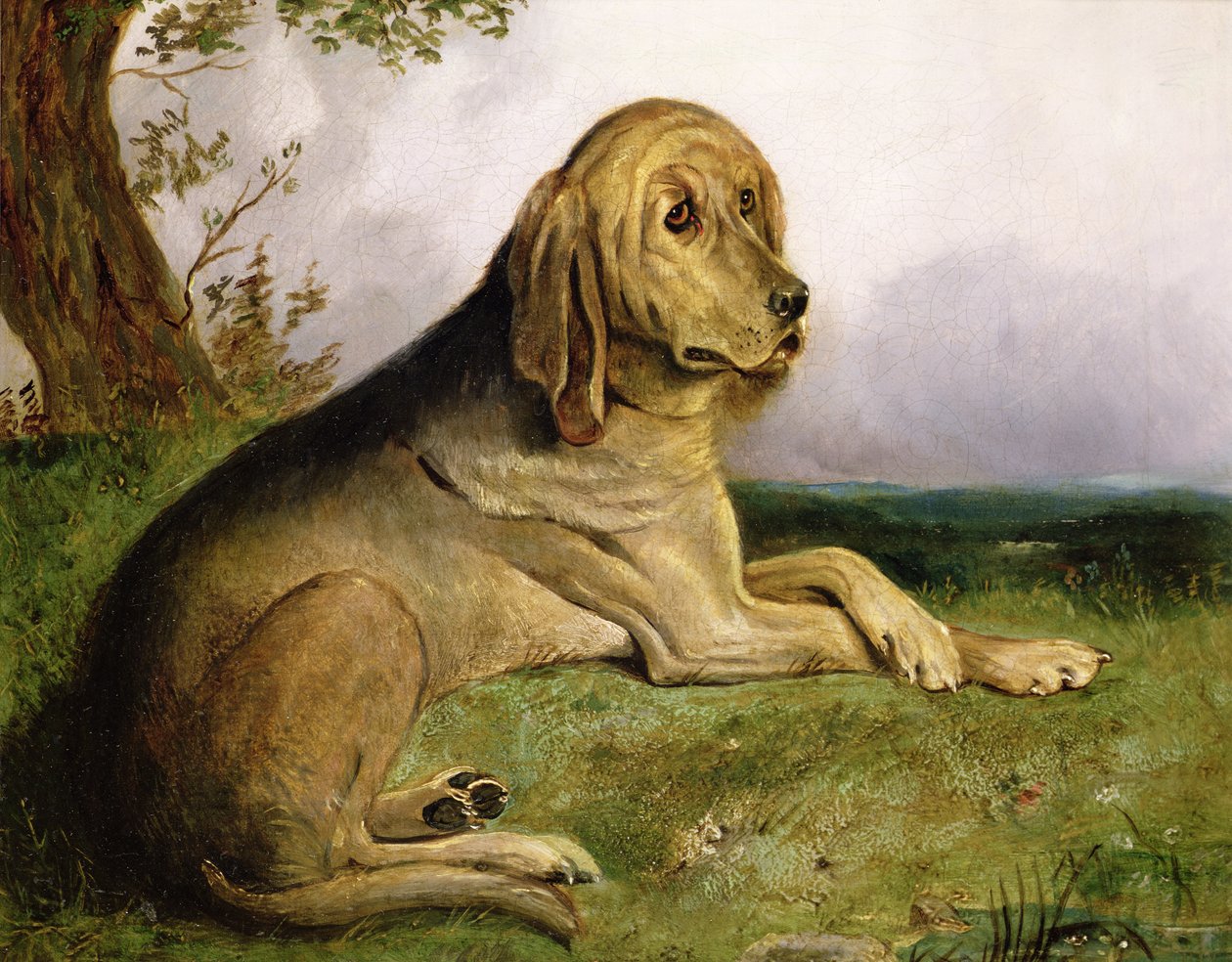 En blodhund i et landskap (olje) av English School