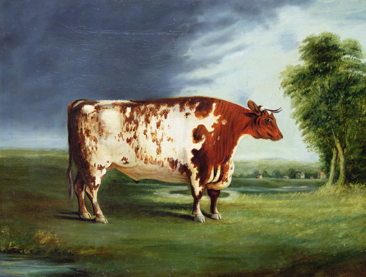 A Prize Bull, Possibly a Durham Shorthorn, ca. 1820 av English School