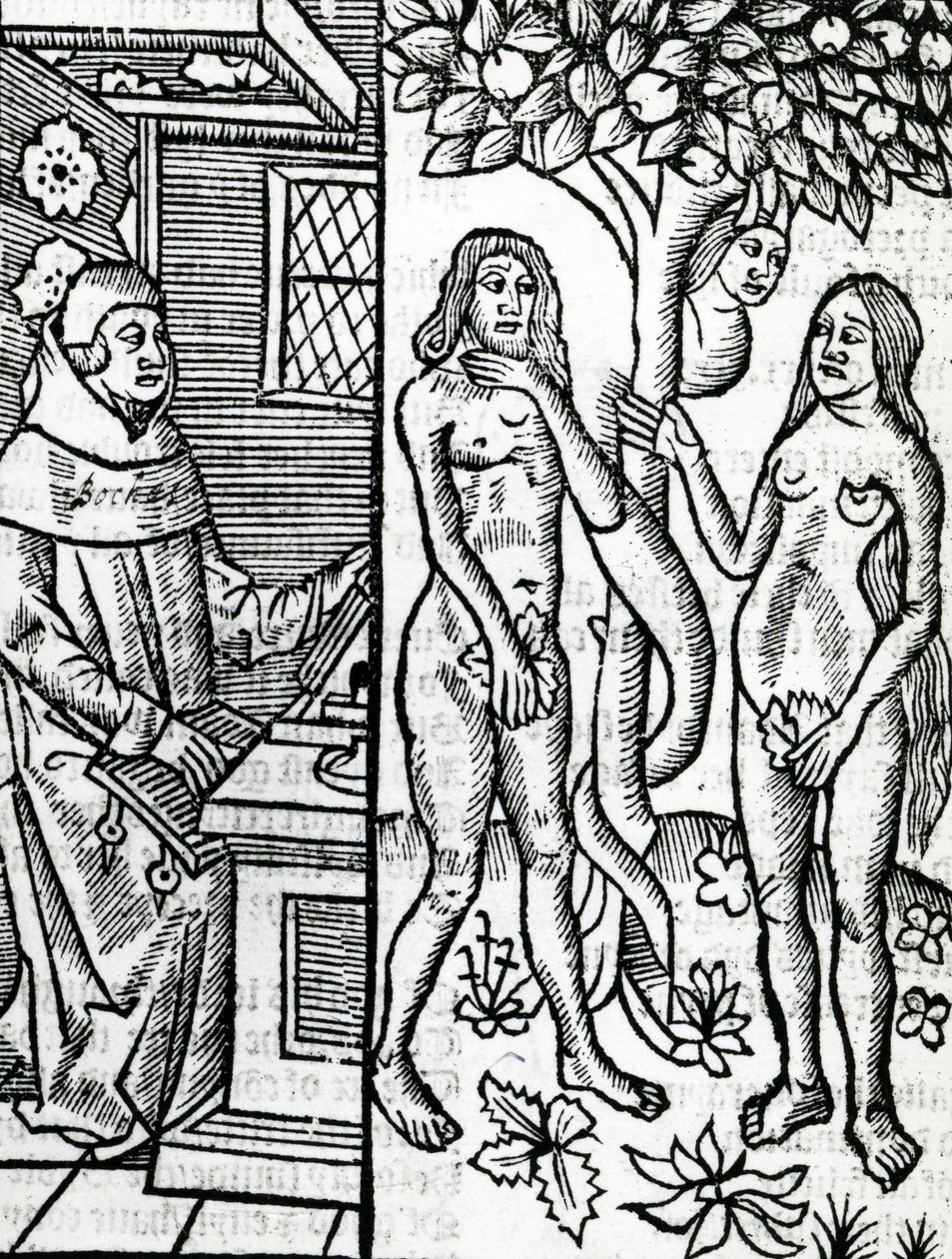 Adam og Eva, illustrasjon fra John Lydgates oversettelse av Boccaccios 