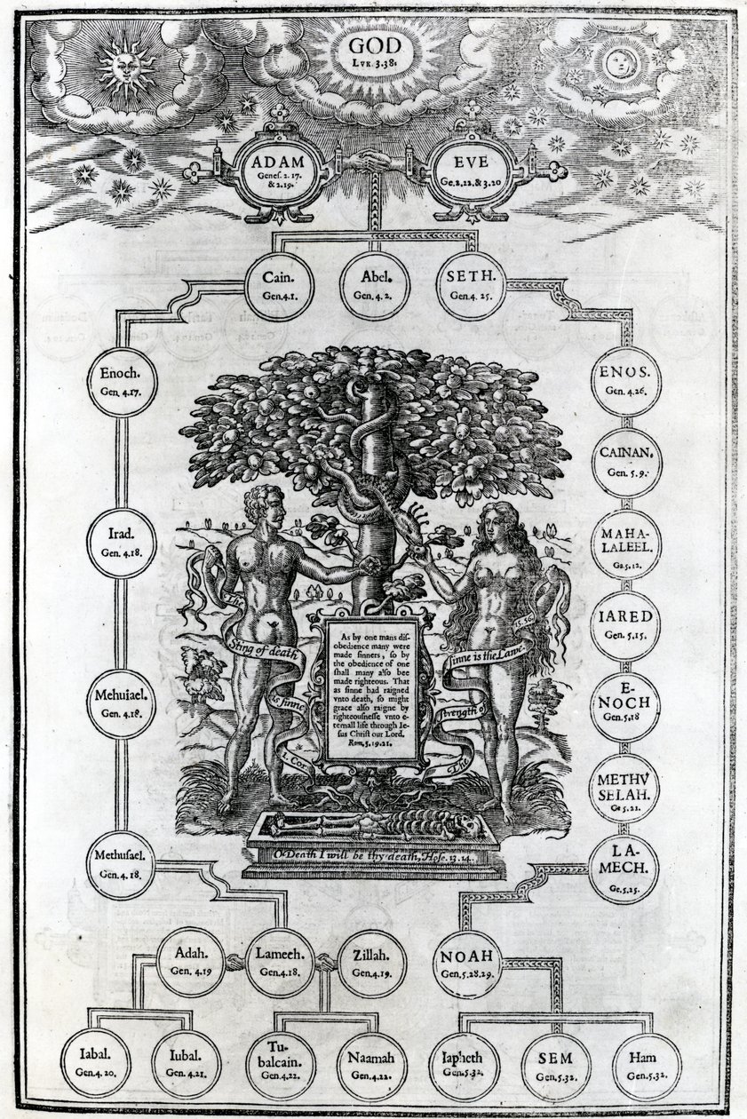Adam og Evas slektstre, 1556 av English School