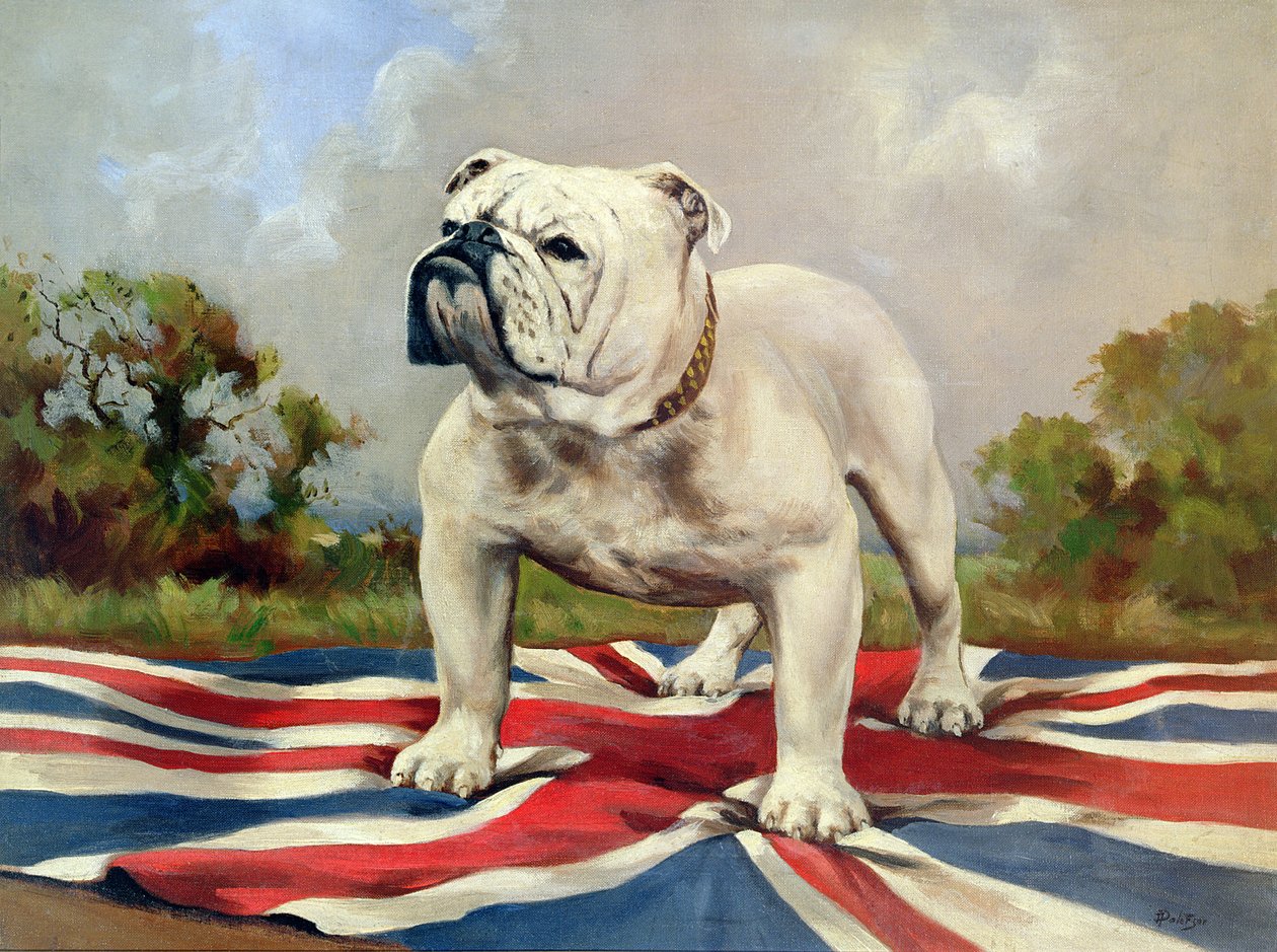 Britisk bulldog av English School