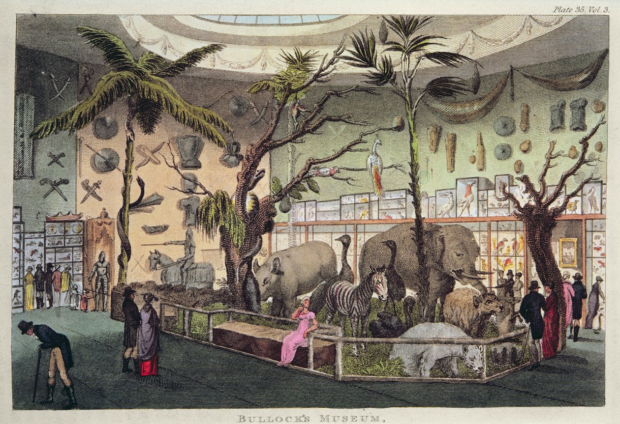 Bullock's Museum (fargegravering) av English School