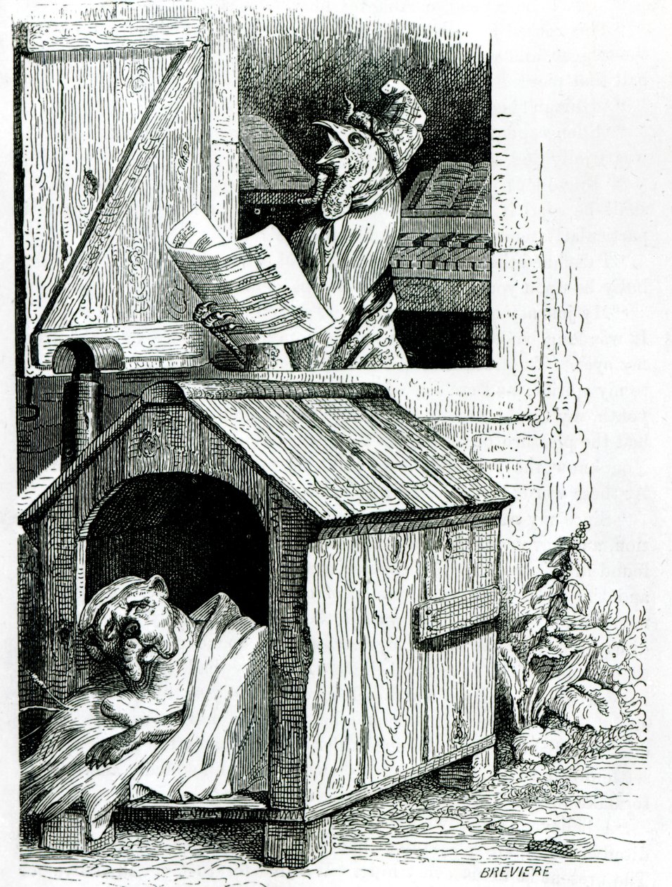 Hundesøvn og hanesang, fra J. Thomsons "Public and Private Life of Animals" av English School