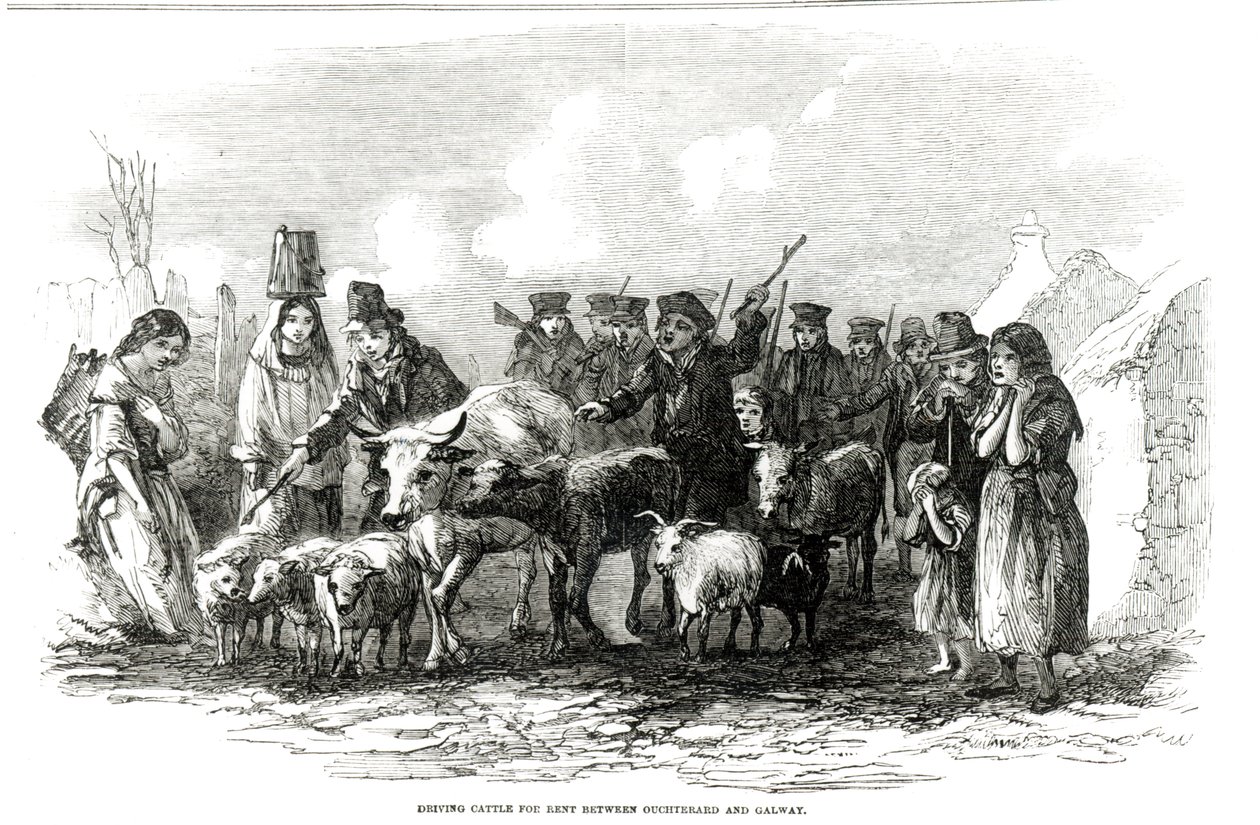 Å drive storfe til leie mellom Ouchterard og Galway, fra 