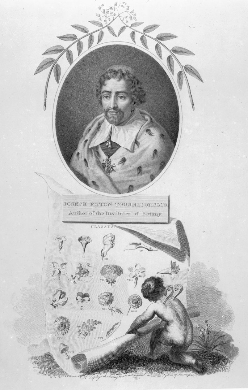 Joseph Pitton de Tournefort av English School