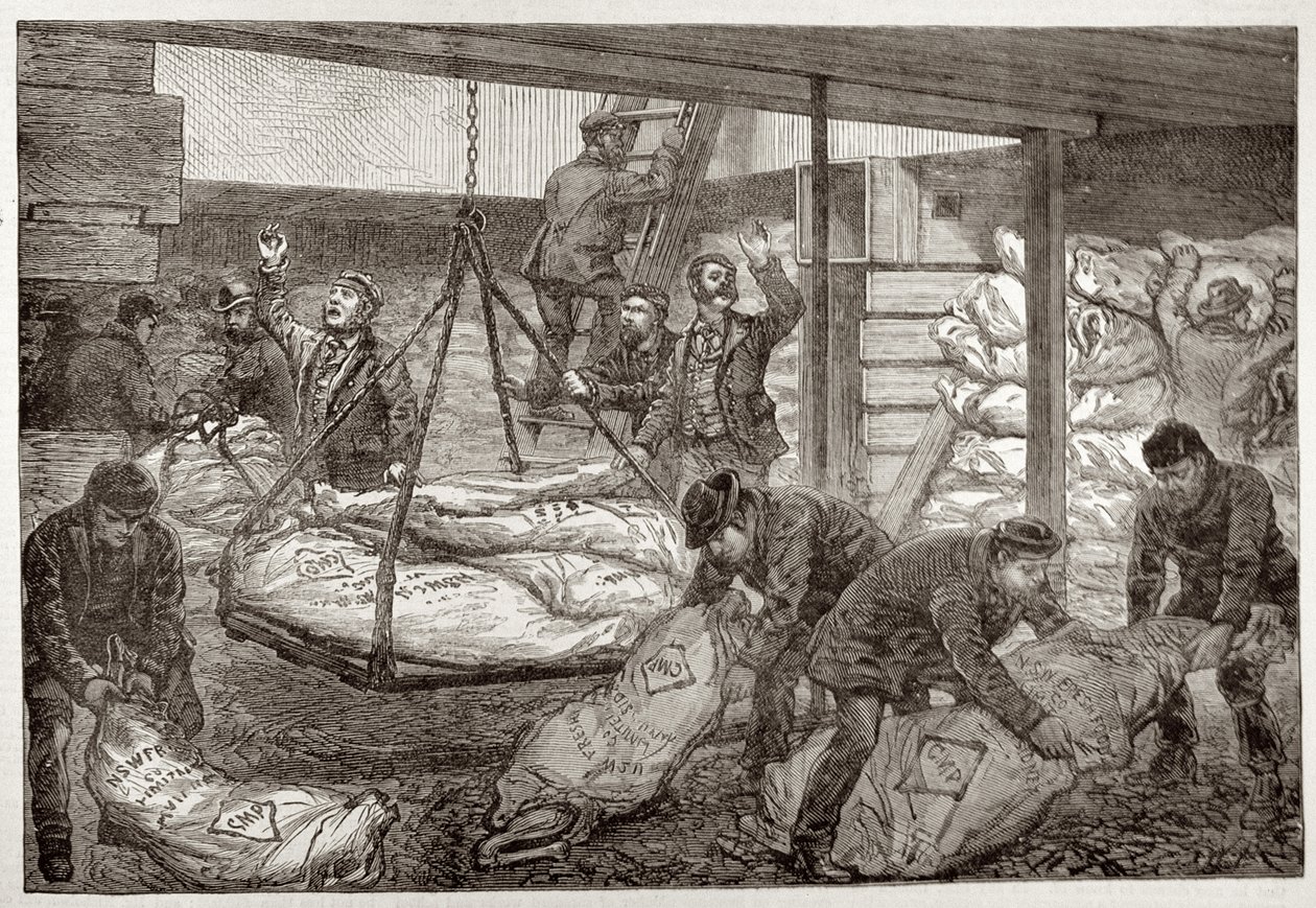 Lander australsk frosset kjøtt fra Sydney i South West India Dock, Millwall, fra 