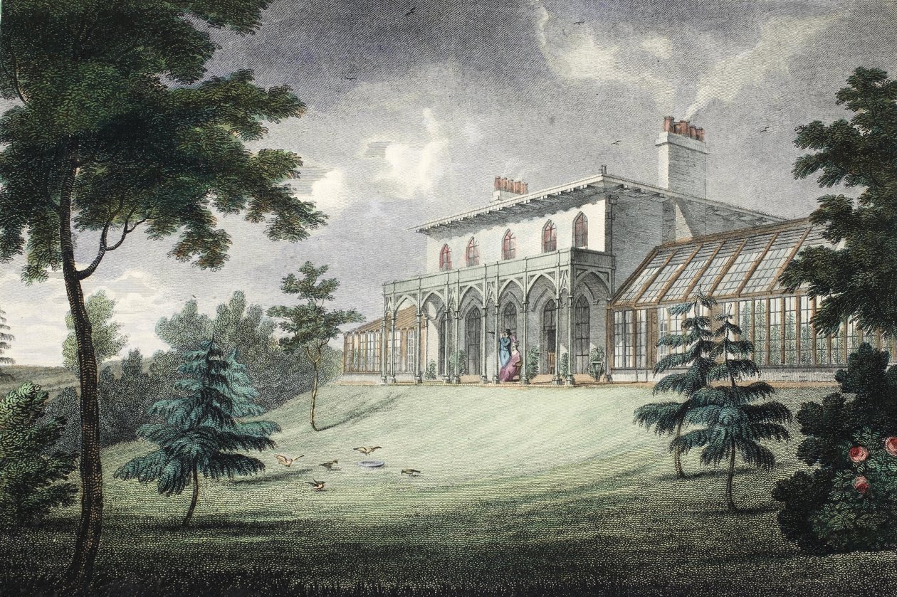 Mount Ararat, Wimbledon, pub. c. 1828 (håndfarget gravering) av English School
