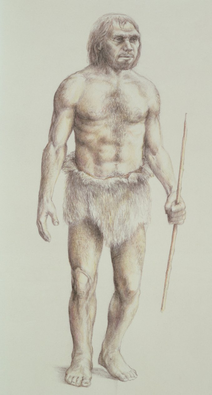 Neandertalermann av English School
