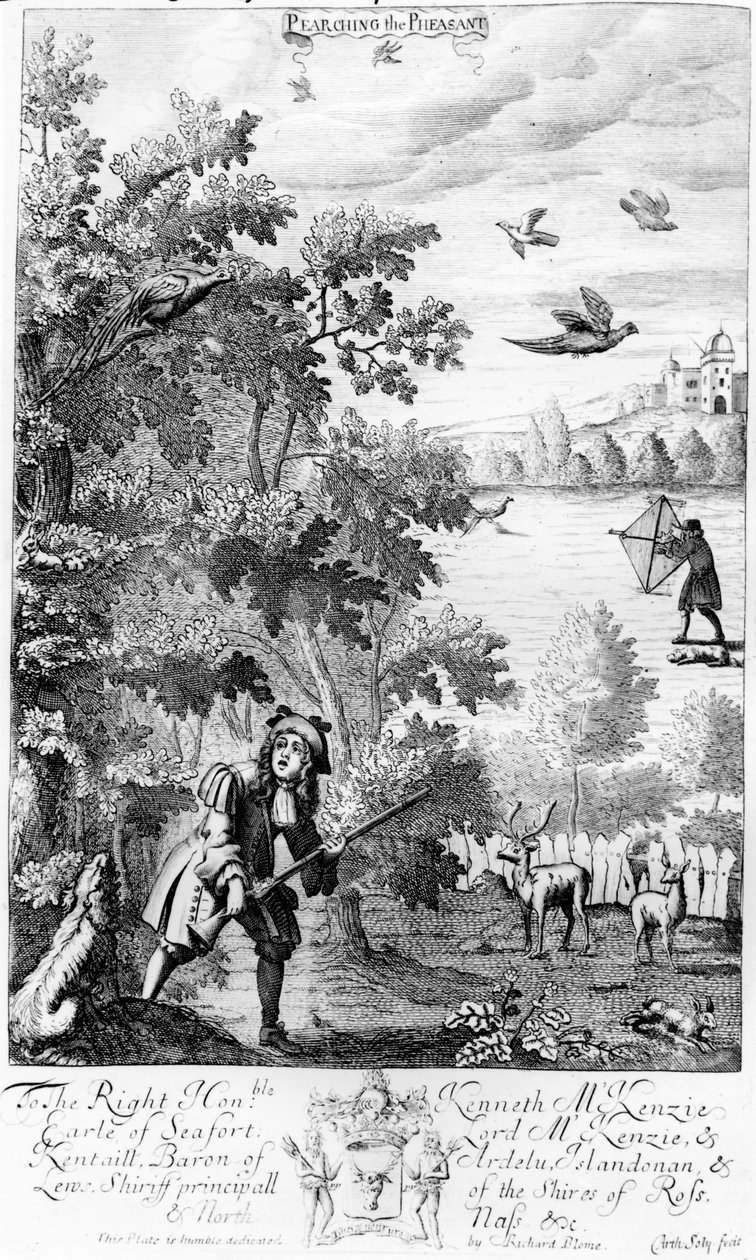 Pearching the Pheasant, fra 