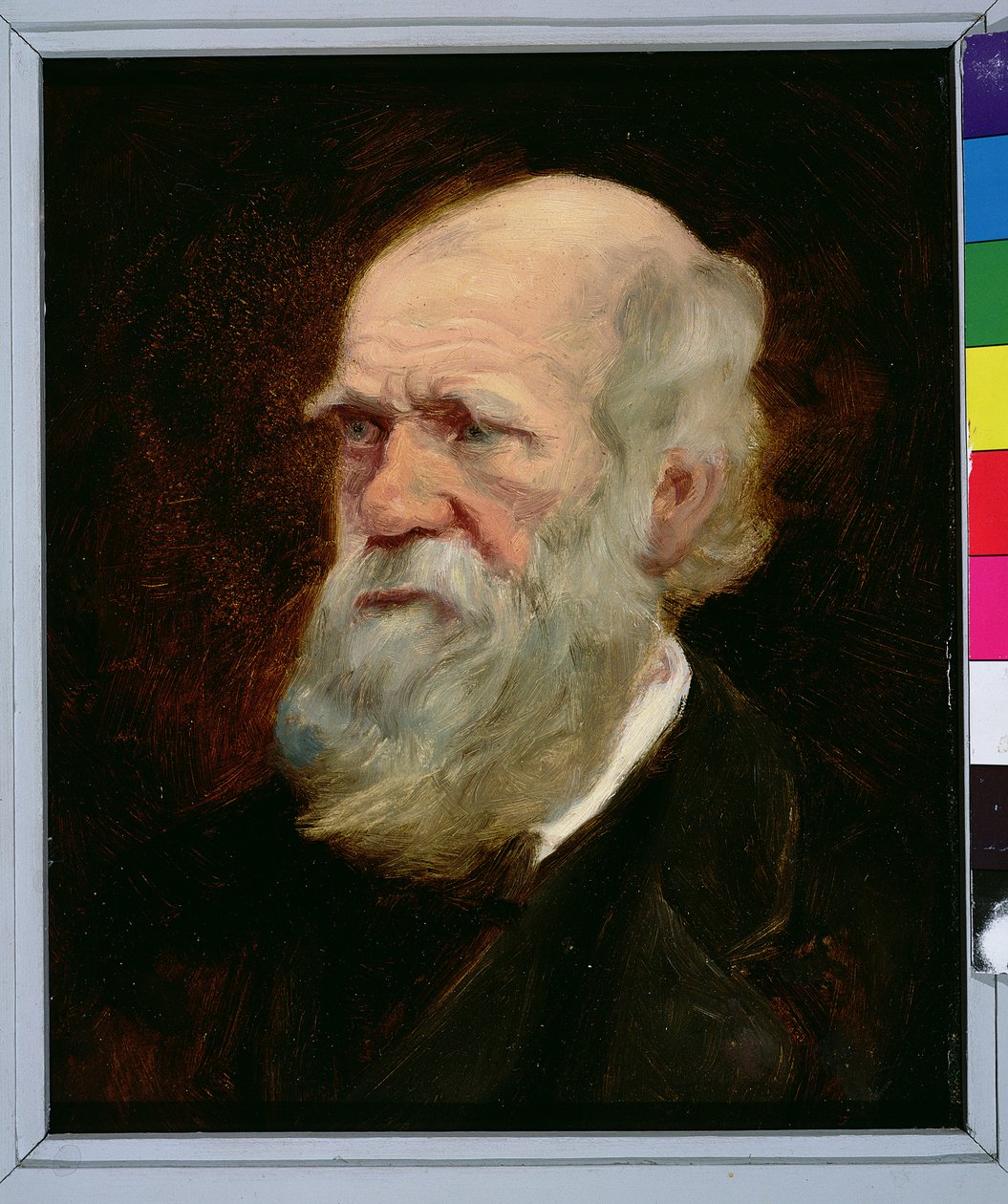 Portrett av Charles Robert Darwin (1809-82) engelsk naturforsker av English School