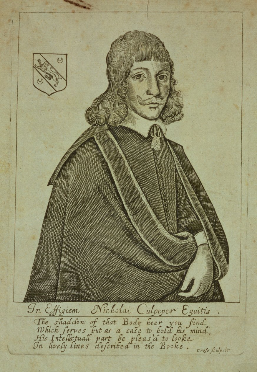 Portrett av Nicholas Culpeper (1616-54) fra A Physical Directory, eller en oversettelse av London Dispensatory, gravert av Thomas Cross, 1649 av English School