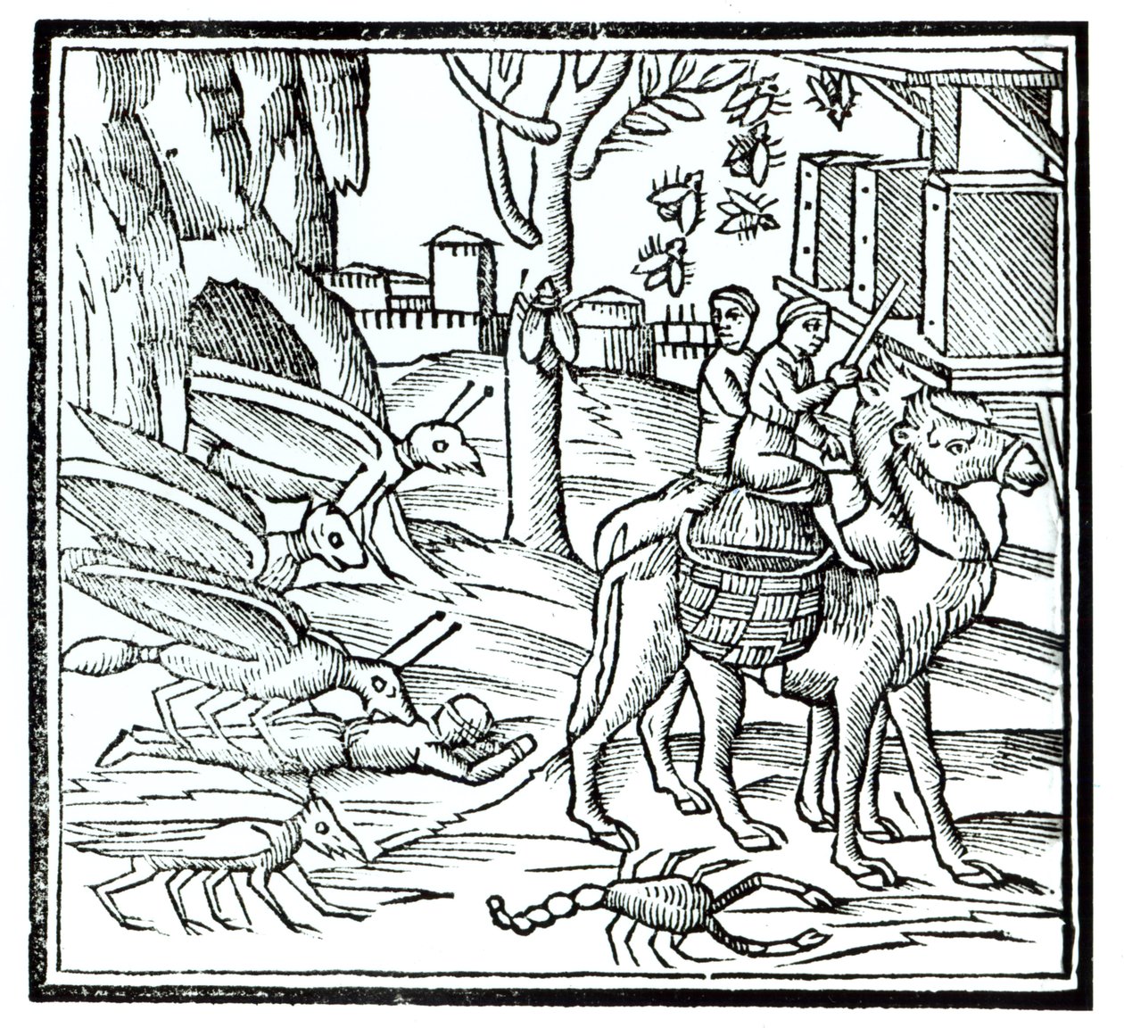 Representasjon av pesten, 1572 av English School