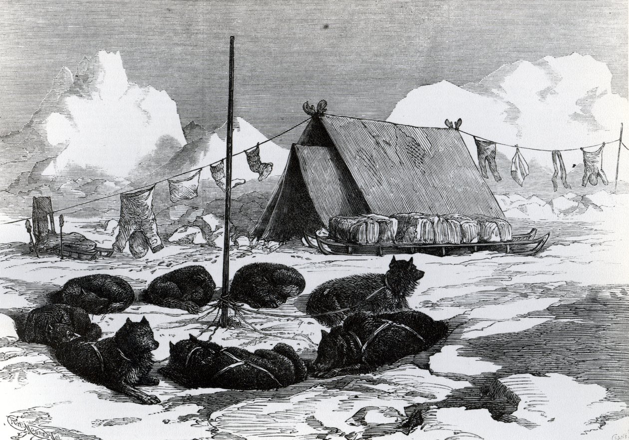 Sledereise: Metode for å feste hunder på camping, 1876 av English School