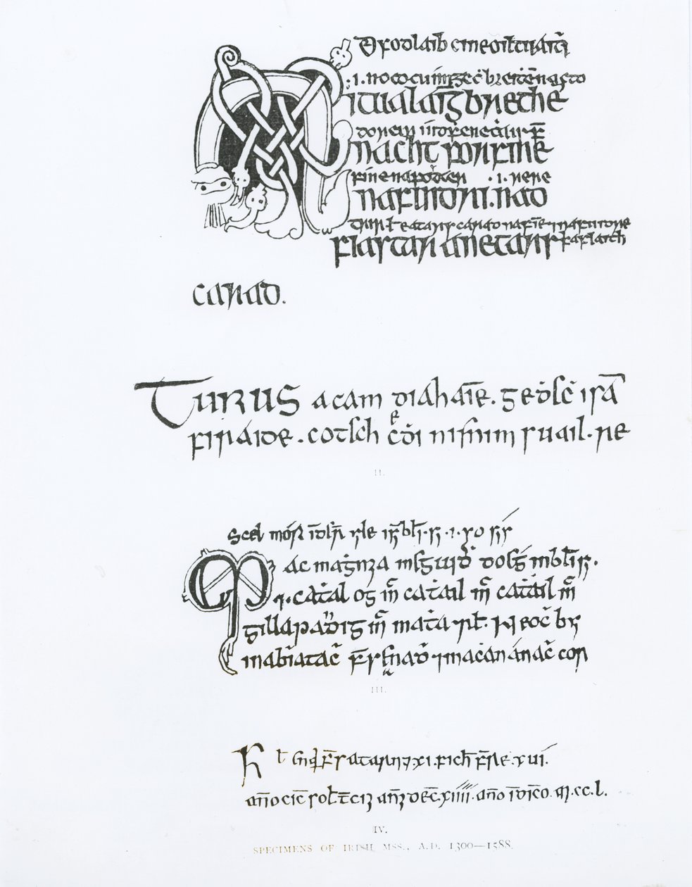 Eksemplarer av irske manuskripter, ca. 1300-1588 av English School