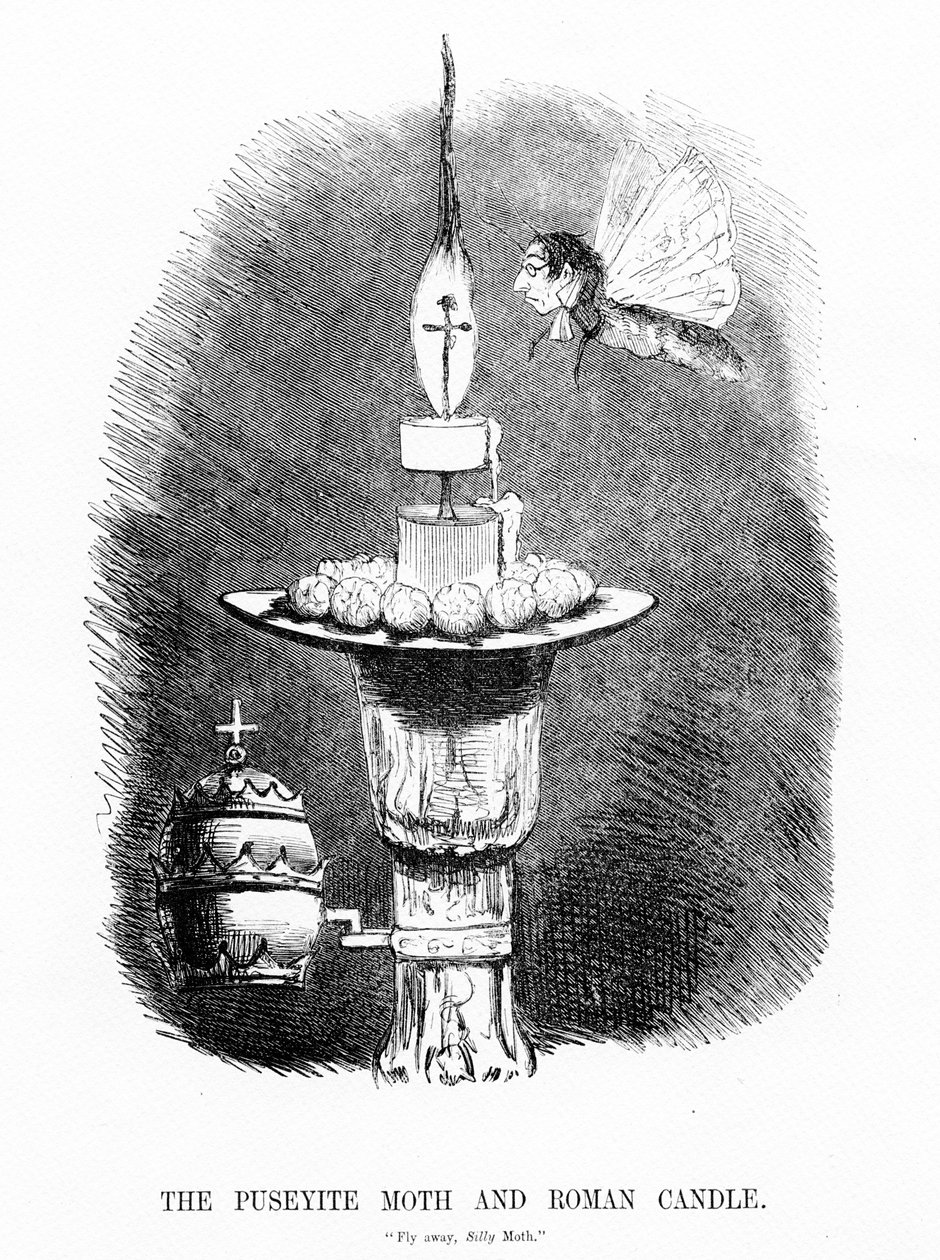 The Puseyite Moth and the Roman Candle, illustrasjon fra 