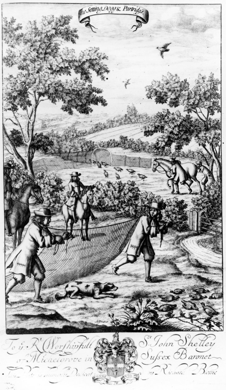 The Setting Dog and Partridges, fra 'The Gentleman's Recreation' utgitt av Richard Blome, 1686 av English School