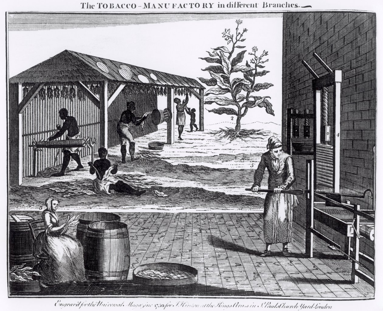 The Tobacco Manufactory in Different Branches, gravert for Universal Magazine, 1750 (se også 126979) av English School