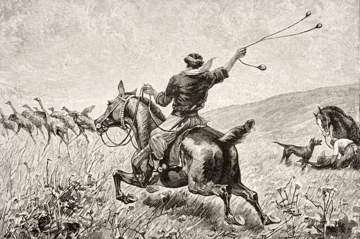 Throwing the Bolas, fra 