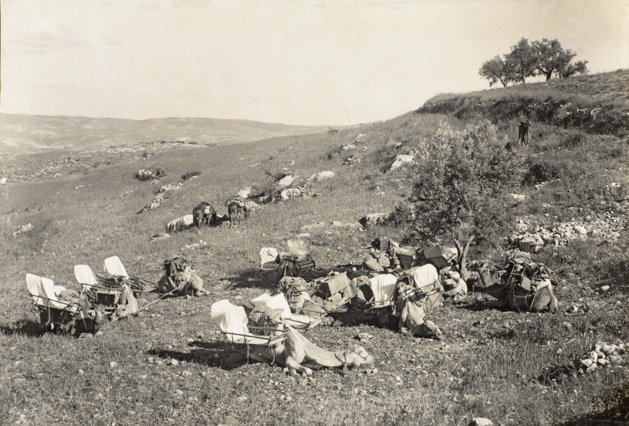 Ambulansekameler, ca. 1916-19 (s/hvitt-bilde) av English Photographer
