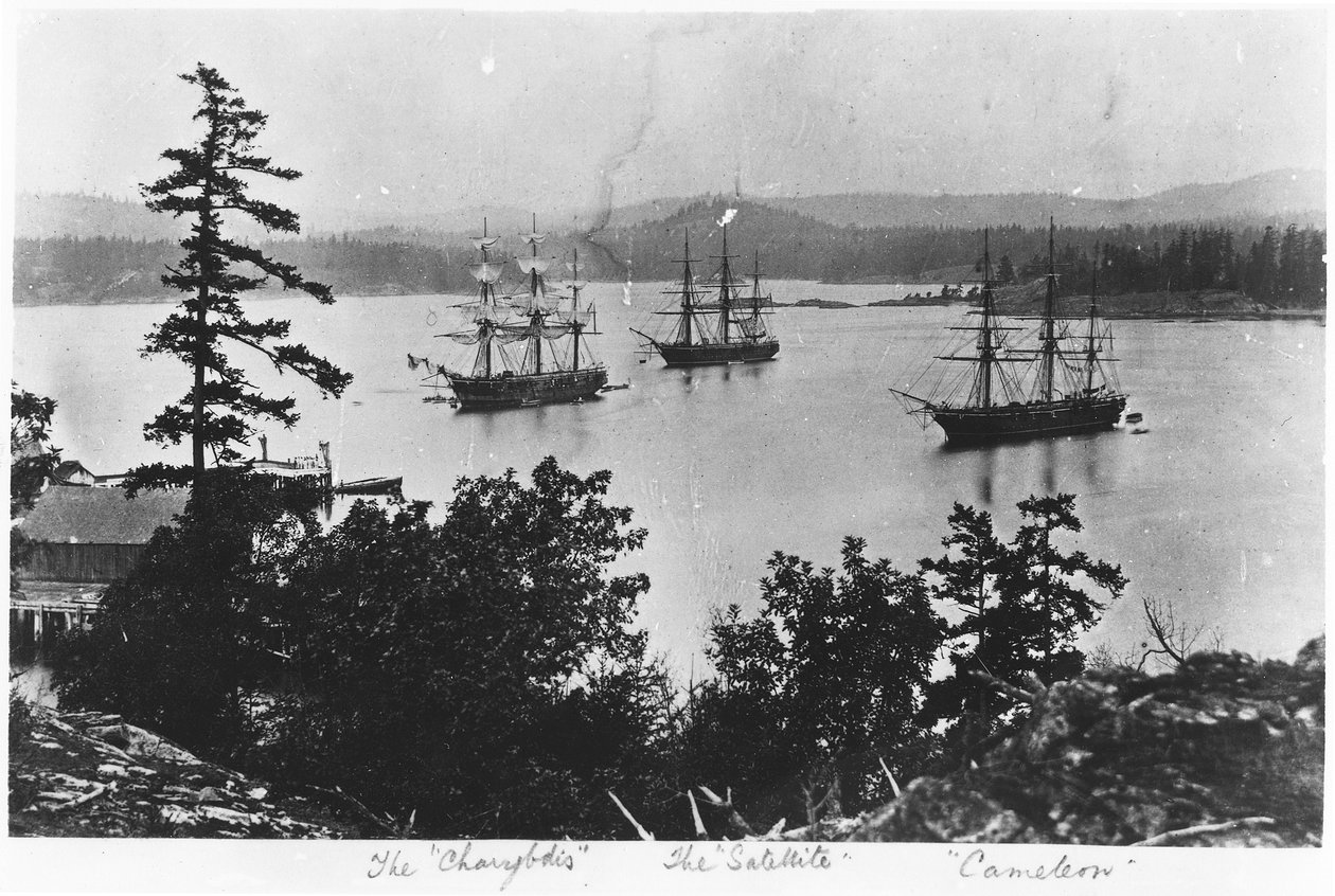 HMS Charybdis, HMS Satellite og HMS Cameleon ved Esquimalt Royal Navy Dockyard, British Columbia, ca. 1880-tallet av English Photographer
