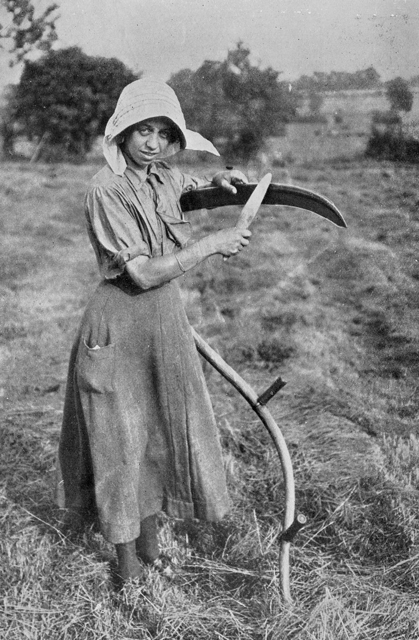 Harvesting - Medlem av Leicester Women