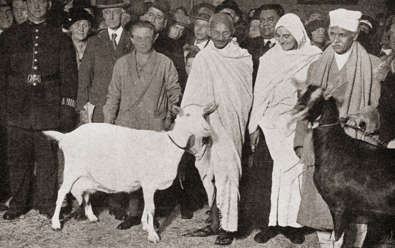 Mahatma Gandhi ankommer London, England i 1931 med sin disippel, Madeleine Slade, og hans to geiter, fra The Story of Twenty Five Years, utgitt 1935 av English Photographer