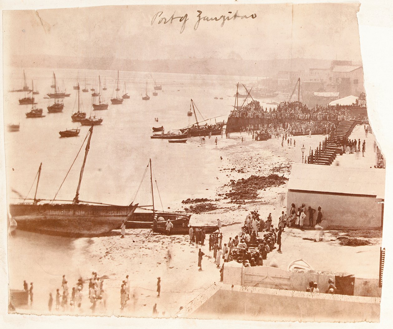 Port of Zanzibar, fra et album som tilhører Henry Morton Stanley av English Photographer