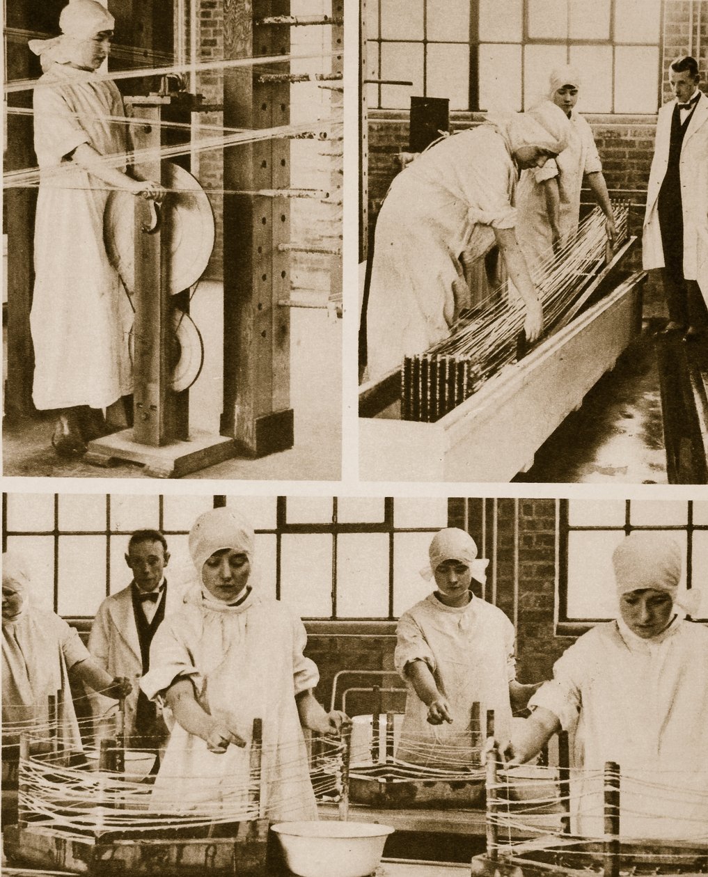 Forbereder Cat-Gut på London Hospitals egen fabrikk (sepia-bilde) av English Photographer