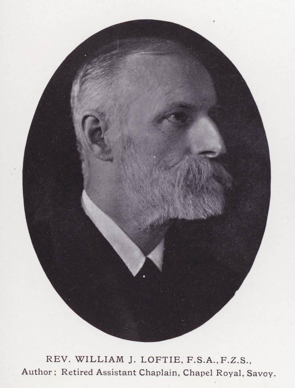 Prominent Men of London: Rev William J Loftie (s/hv-bilde) av English Photographer