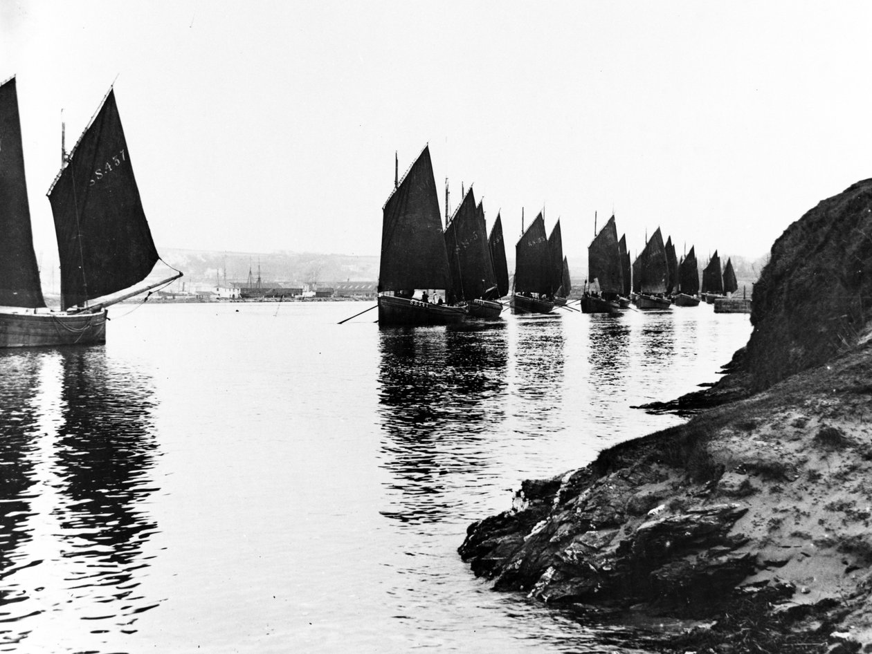 Regatta, Hayle Estuary, ca. 1890 av English Photographer
