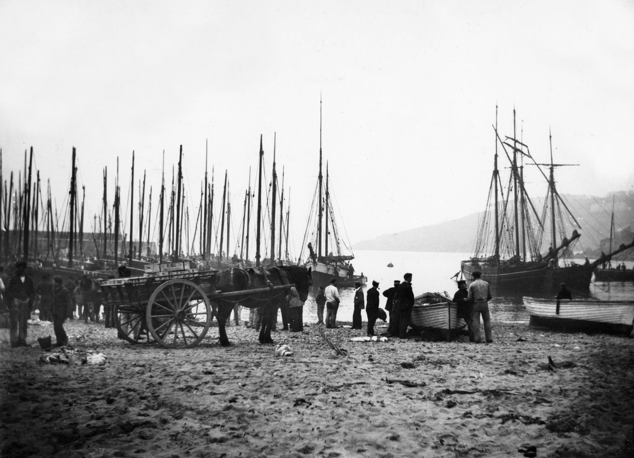 St Ives havn ser mot Carbis Bay, ca. 1880-99 av English Photographer