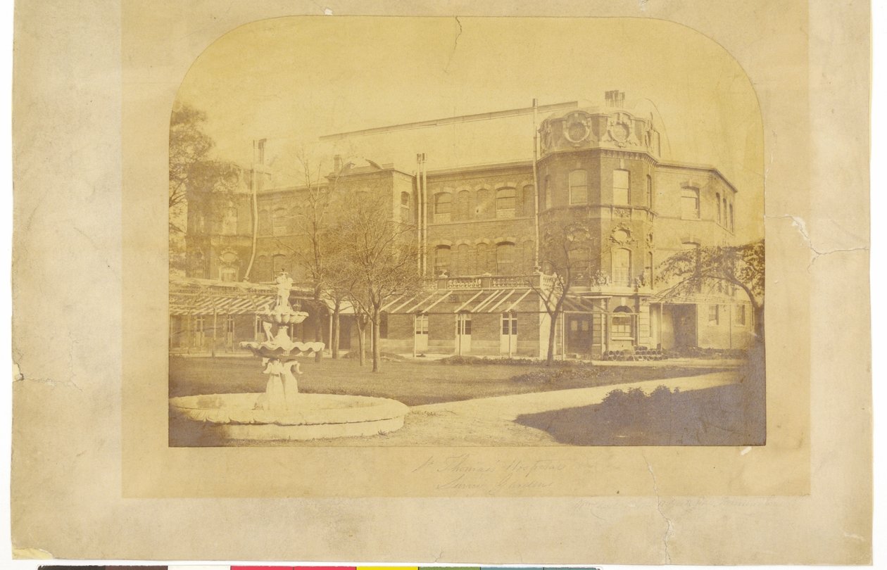St. Thomass Hospital Surrey Gardens av English Photographer