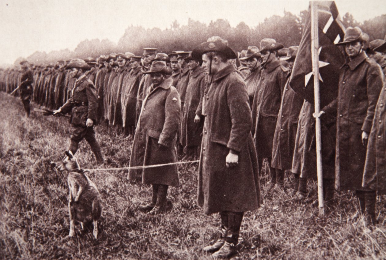 Anzac-anmeldelsen på Salisbury Plain: en australsk maskot, illustrasjon fra The Illustrated War News, 27. september 1916 (sepia-bilde) av English Photographer