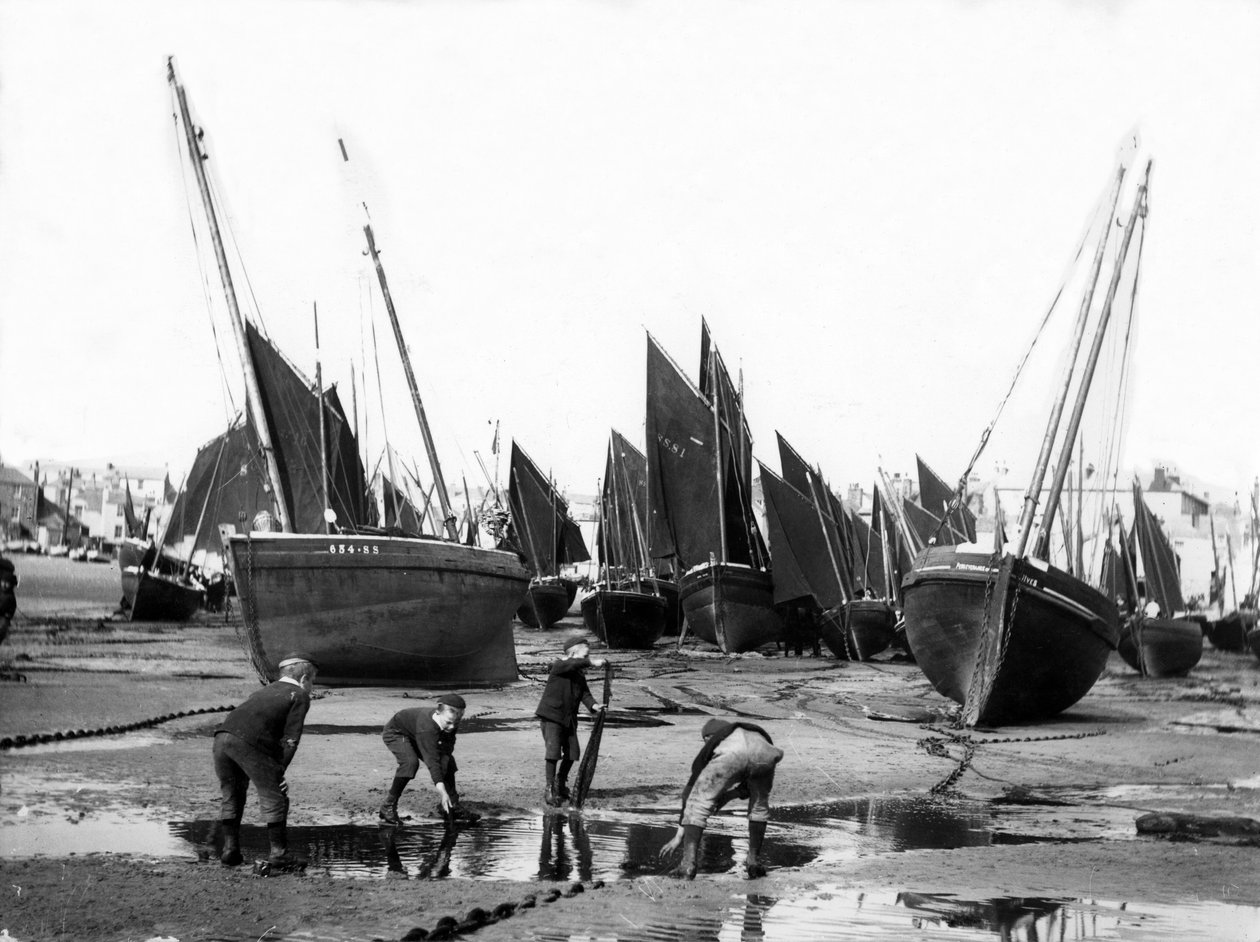 Fiskeflåten i St Ives havn, ca. 1880-99 av English Photographer